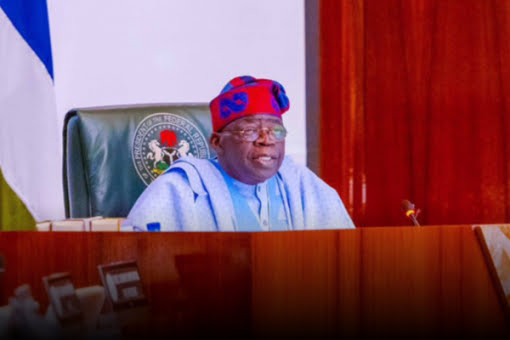 Tinubu Appoints New Governing Council Members for Three Federal Universities.