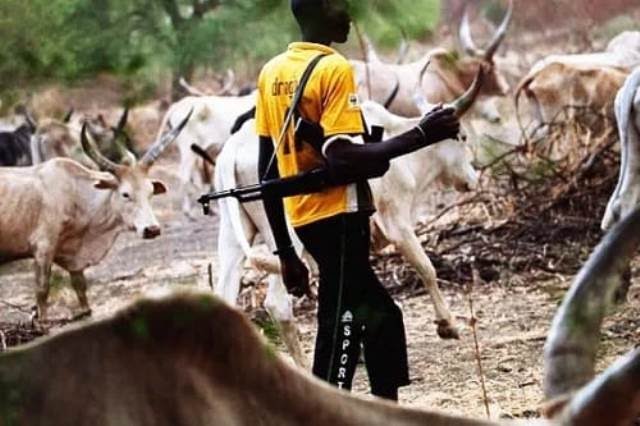 Mass Burial Held in Taraba After Deadly Attack by Suspected Herdsmen.