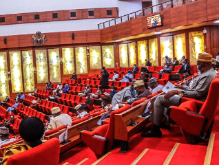 BudgIT Uncovers N6.93 Trillion in Project Insertions by National Assembly in 2025 Budget.