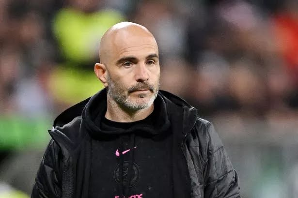 Enzo Maresca Nears Reunion with Liam Delap as Chelsea Close in on Key Transfer.