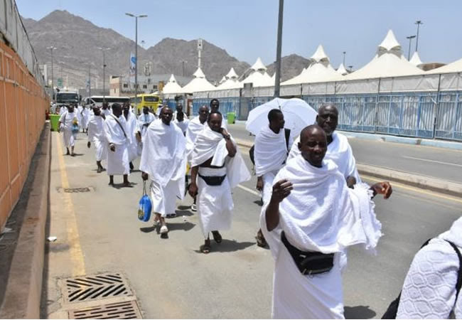 🕋 2025 Hajj: NAHCON to Conclude Return Flights by July 2.