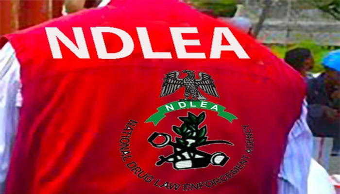 NDLEA Arrests 12 Women Among 37 Drug Suspects in Edo.
