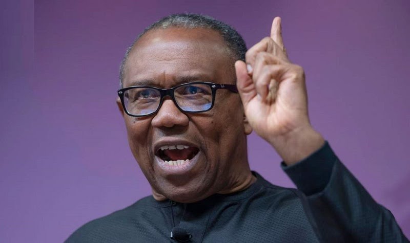 Peter Obi Submits Single-Term Presidency Proposal to Opposition Coalition.