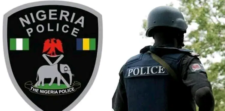 Yoruba Council Urges Unified Youth Leadership to Address Insecurity in Nigeria.